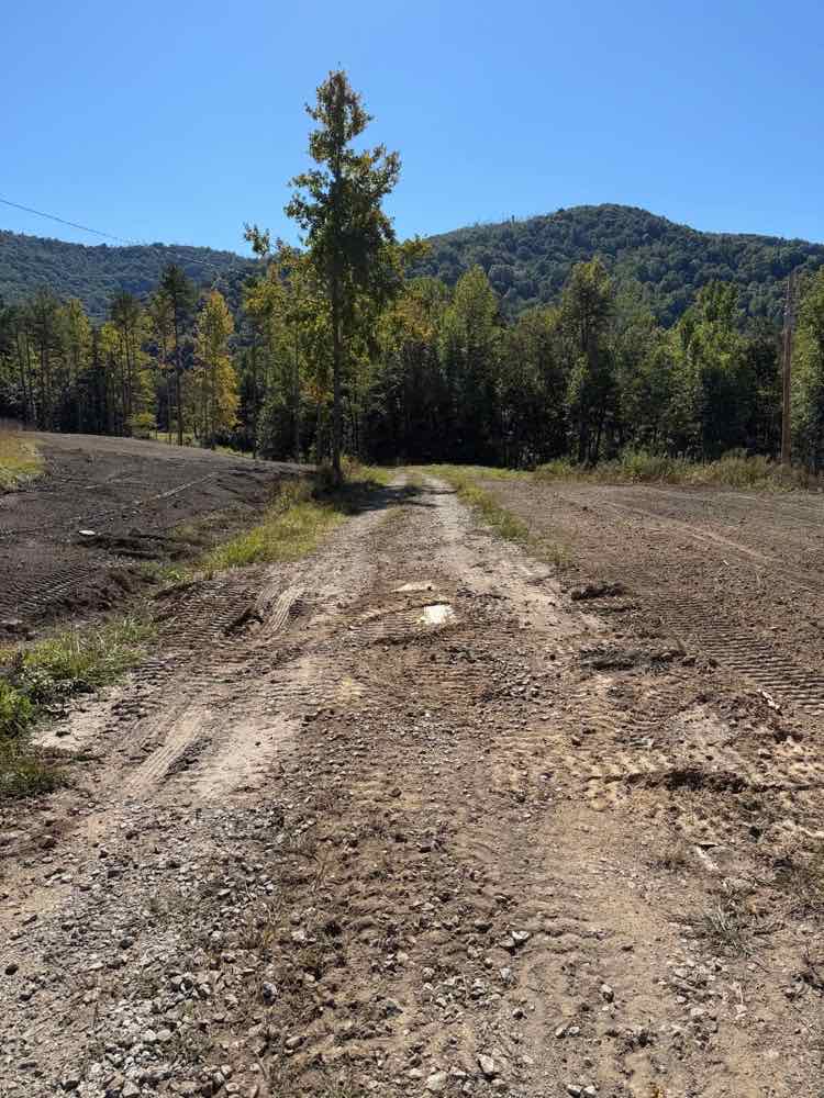 A dirt-and-gravel drive running between two freshly cleared, bare-soil areas toward a tree line